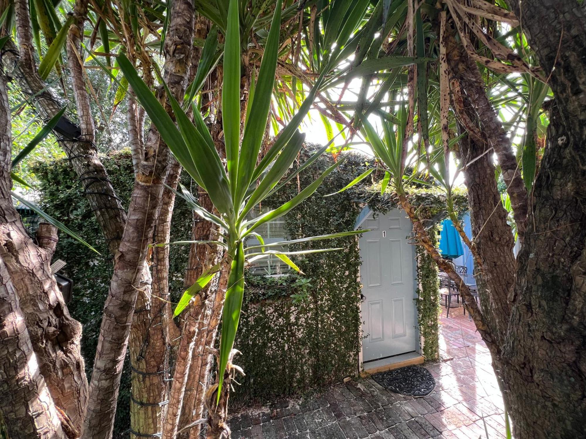 Studio Apartment Antonine New Orleans Buitenkant foto